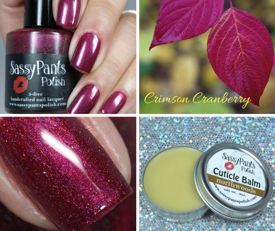 Sassy Pants Polish Summer Paradise Collection Swatches & Review